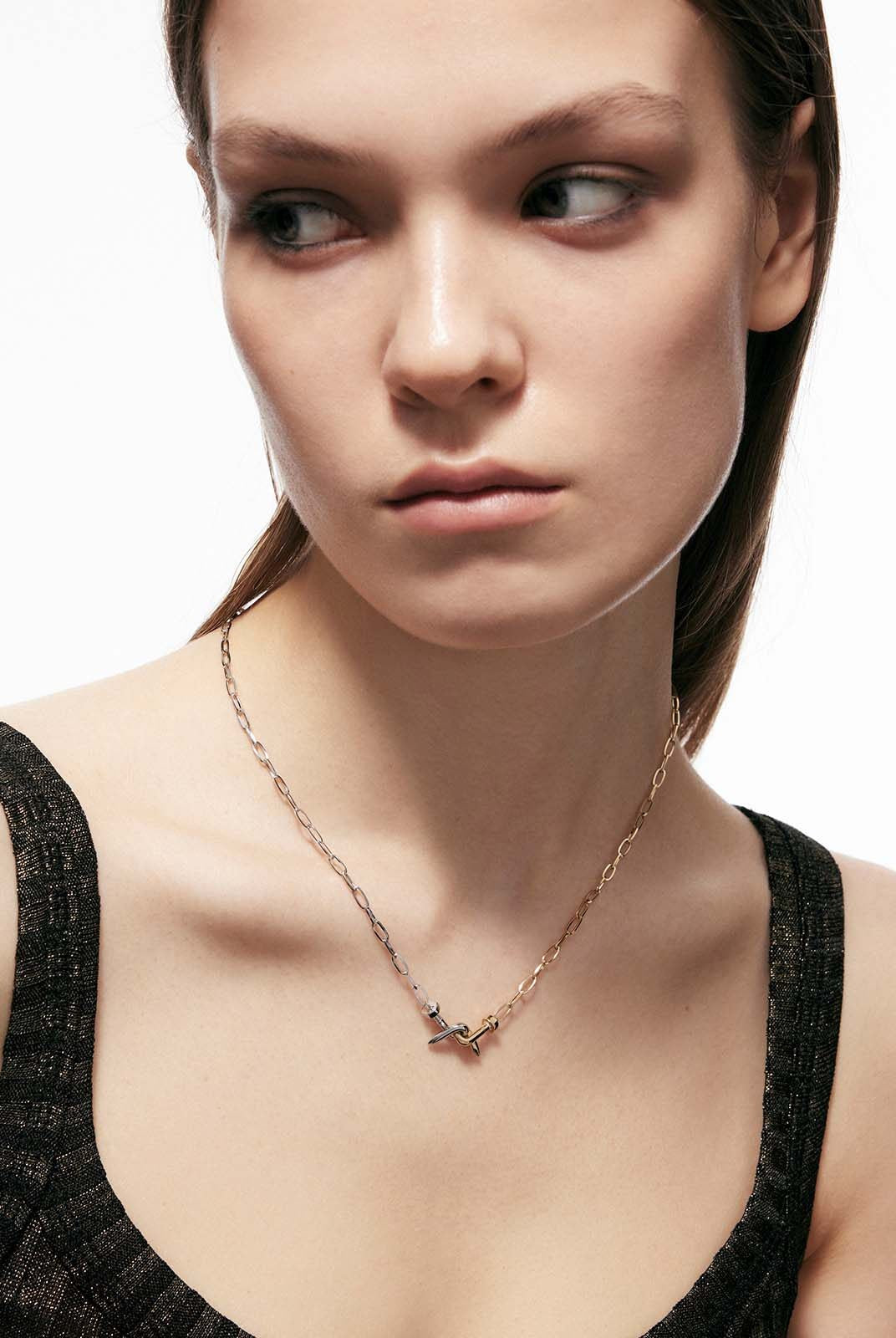 BLACKHEAD Two Tone Twisted Nail Steel Necklace in Gold - On Female Model