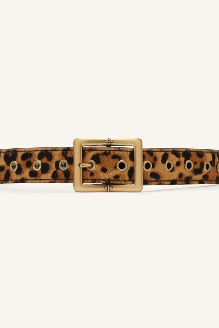 SMFK Hand Rubbed Leather Belt in Brown