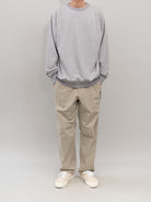 SOD Water Repellent Tapered Hiking Pants in Beige - On Model