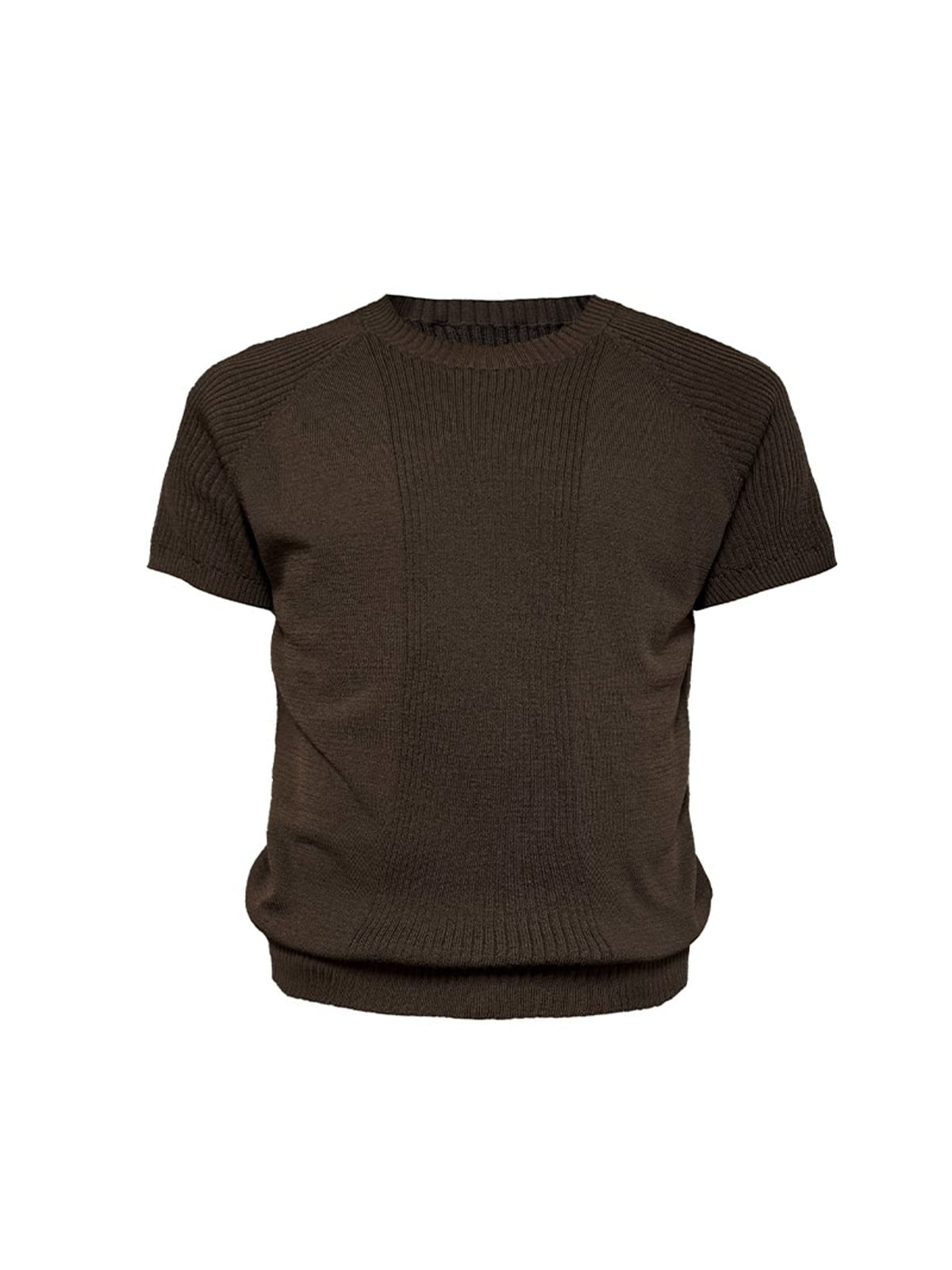 JCAESAR STUDIO Ribbed Ice Silk Raglan T Shirt in Brown