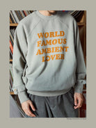 USAGE Heavyweight Raglan Graphic Sweatshirt in Mint - On Male Model
