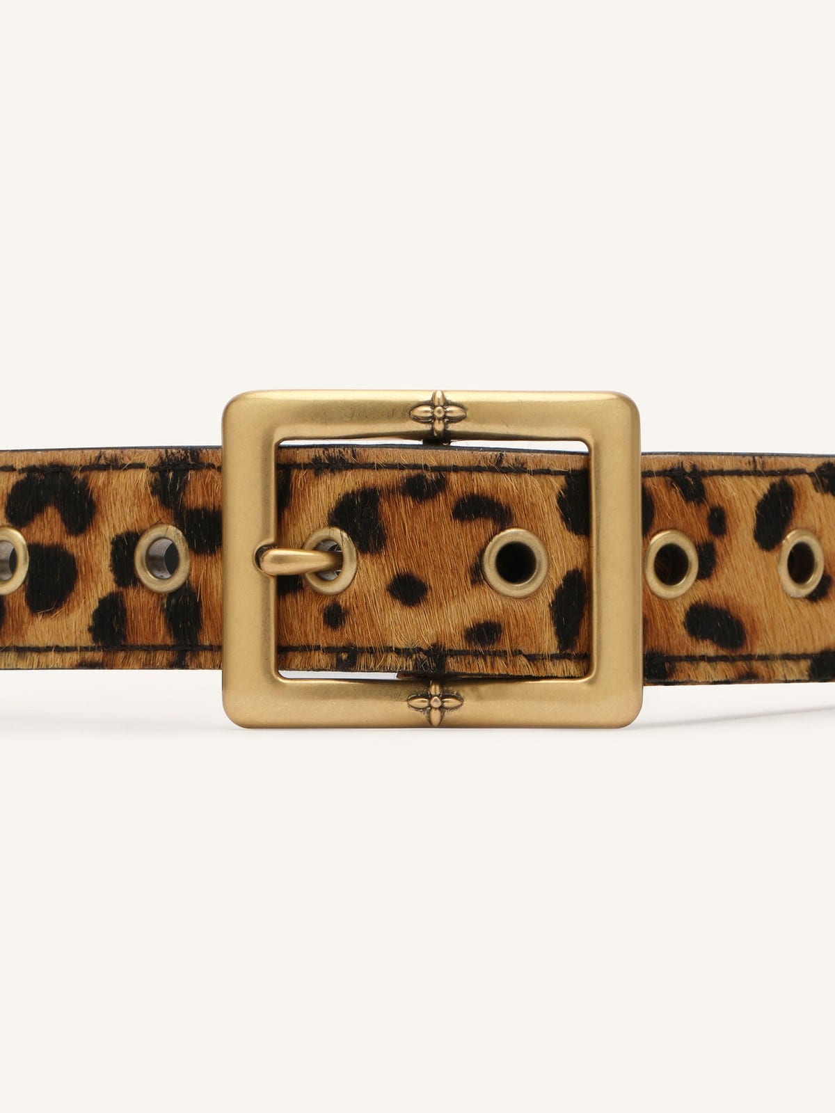 SMFK Hand Rubbed Leather Belt in Brown - Detail