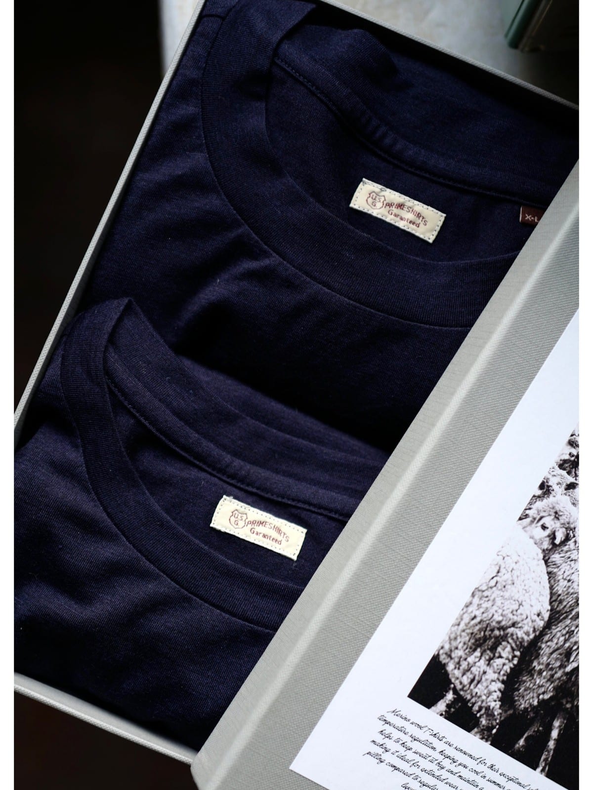 USAGE Merino Wool Blend T Shirt Set in Navy Blue - Lifestyle
