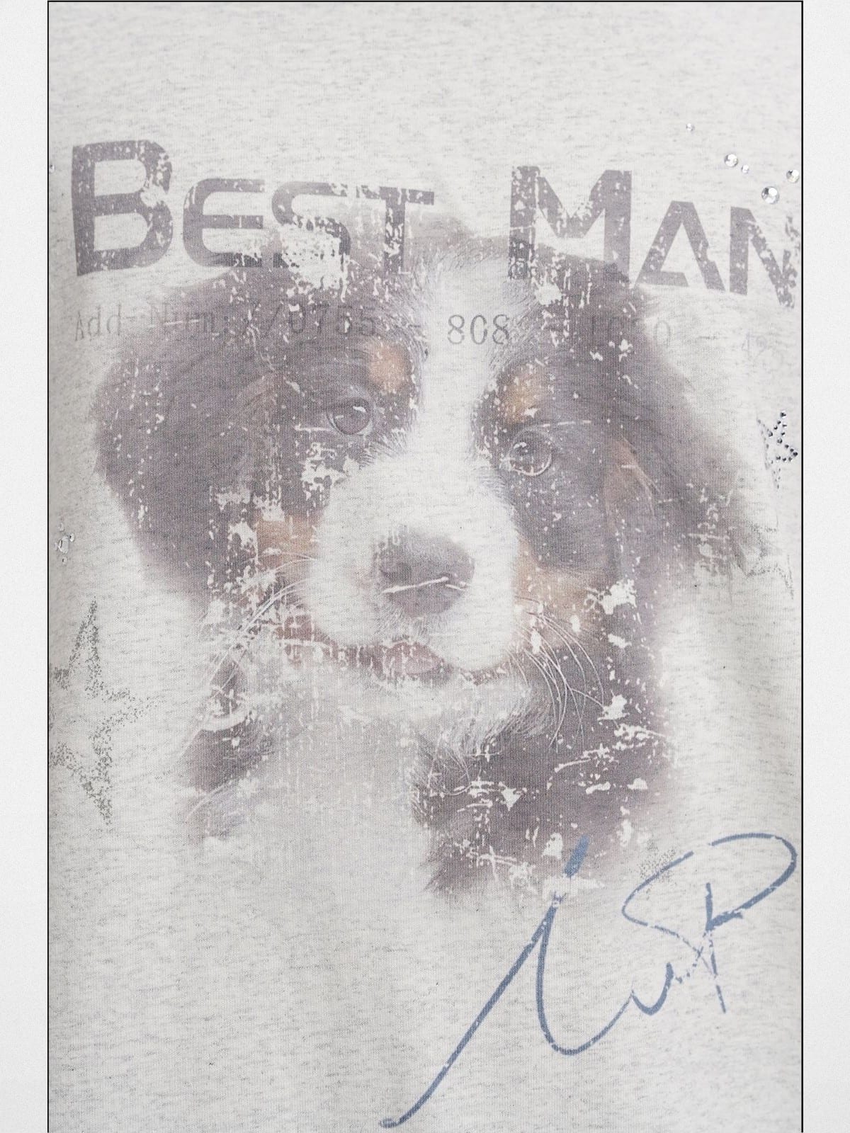 MASONPRINCE BESTMAN Puppy Graphic Cotton T Shirt in Gray - Detail