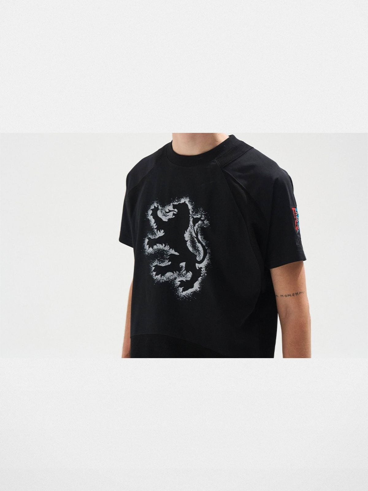 BLINDNOPLAN Sorona Panelled Graphic T Shirt in Black - On Male Model
