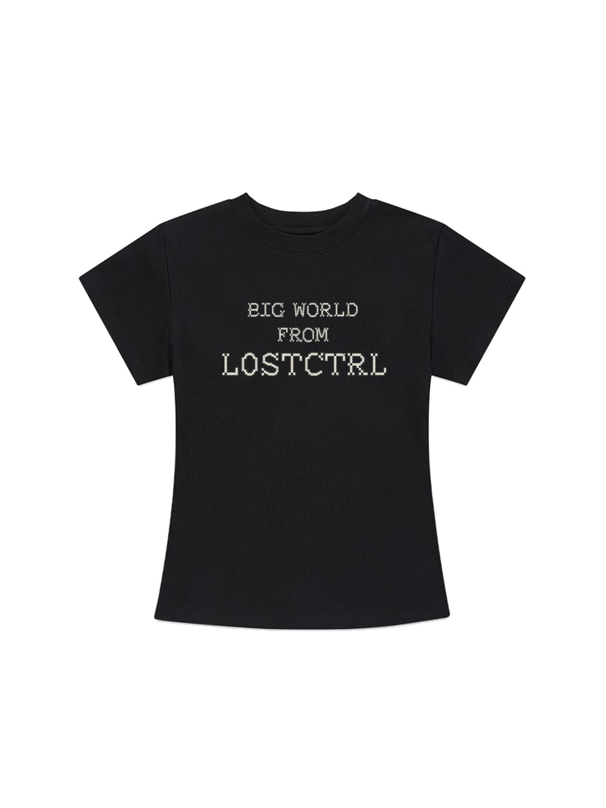 LOSTCTRL Heavyweight Embroidered Cropped T Shirt in Black